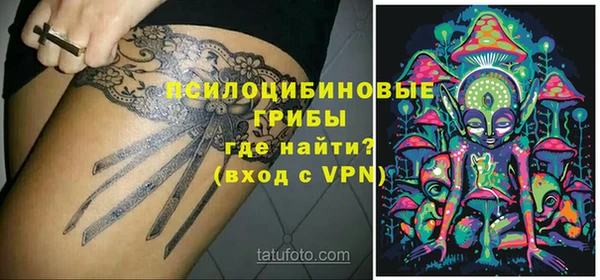 стаф Алексеевка