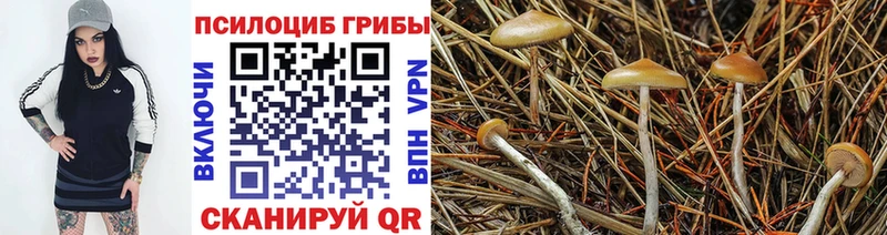 Галлюциногенные грибы Psilocybine cubensis  Жуковский 