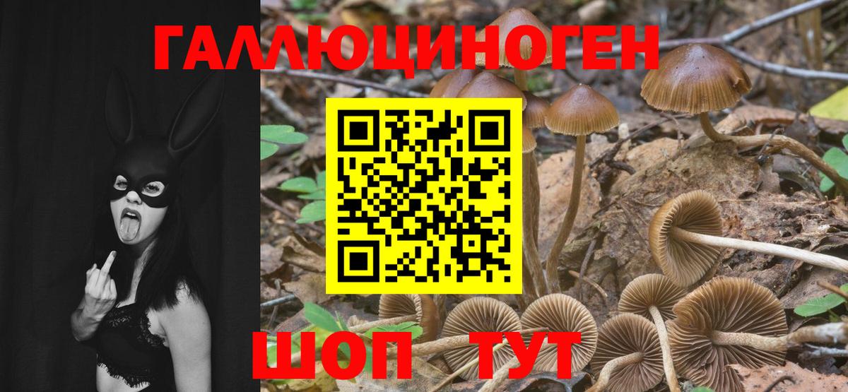 Галлюциногенные грибы Cubensis Жуковский