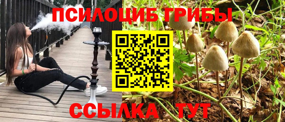 Жуковский  Псилоцибиновые грибы мухоморы  Вход с VPN 